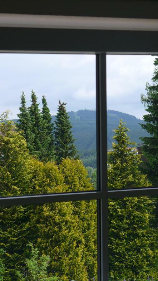 Appartement Schultz - Gruene Aue Braunlage Kültér fotó