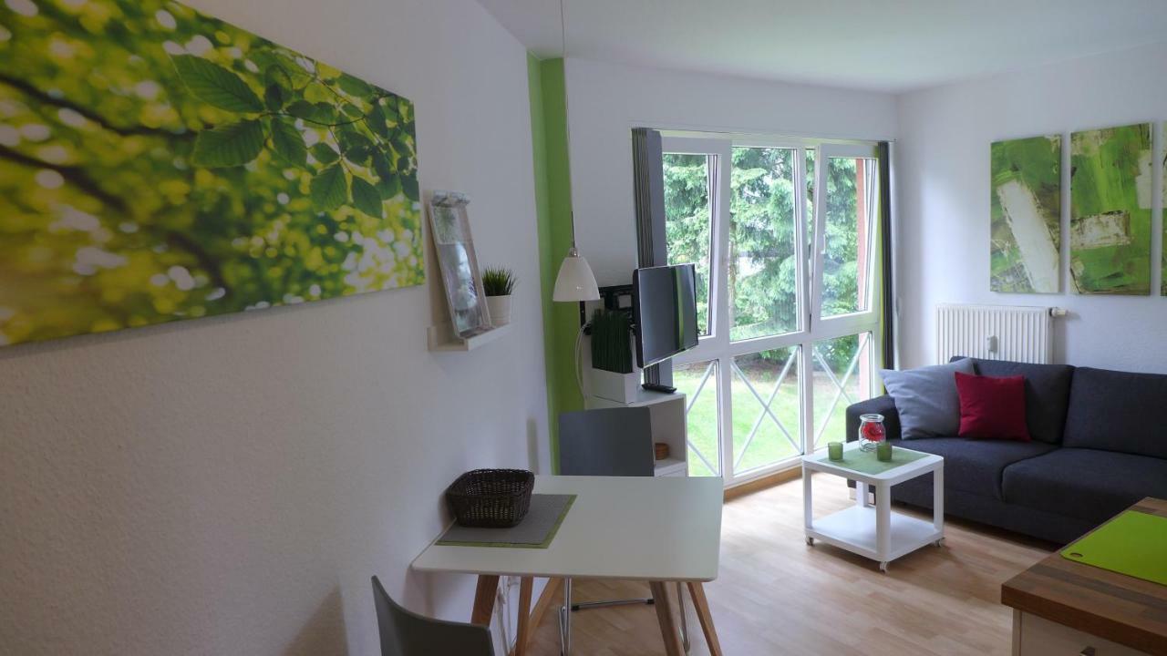 Appartement Schultz - Gruene Aue Braunlage Kültér fotó